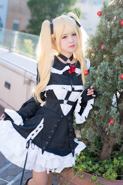 Garden rose (Dead or Alive) – ảnh 89