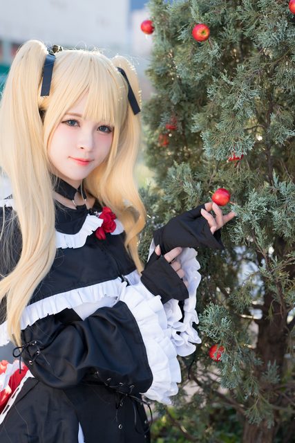 Garden rose (Dead or Alive) – ảnh 90