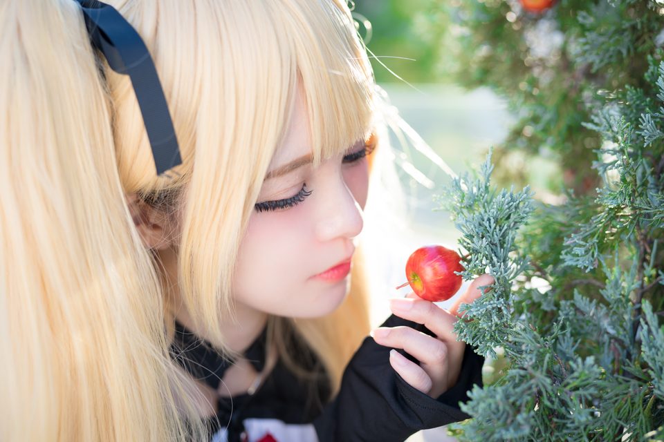 Garden rose (Dead or Alive) – ảnh 91