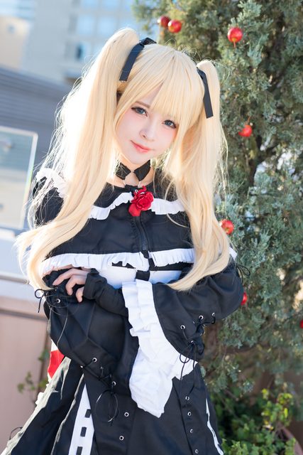 Garden rose (Dead or Alive) – ảnh 92