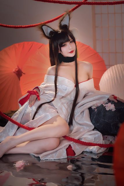Akagi - Azur Lane – photo 7