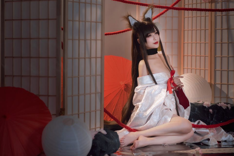 Akagi - Azur Lane – photo 11