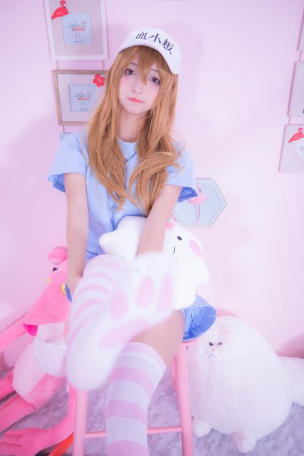 Hataraku Saibou – photo 87