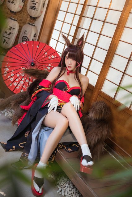 Akagi - Azur Lane – photo 2
