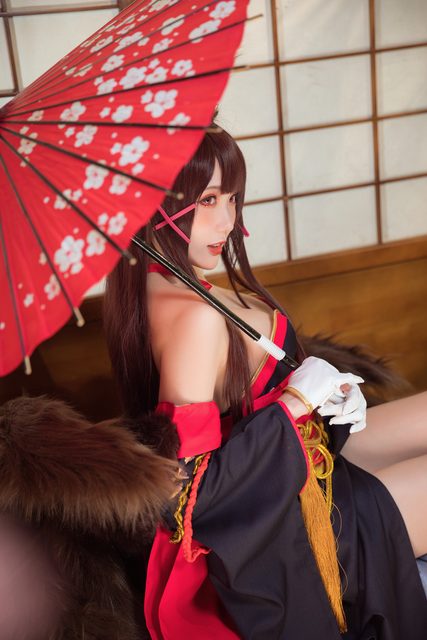 Akagi - Azur Lane – photo 11
