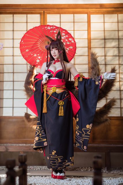 Akagi - Azur Lane – photo 12