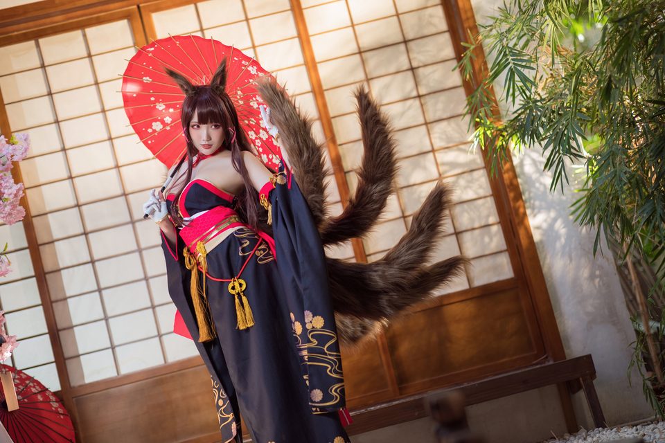 Akagi - Azur Lane – photo 13