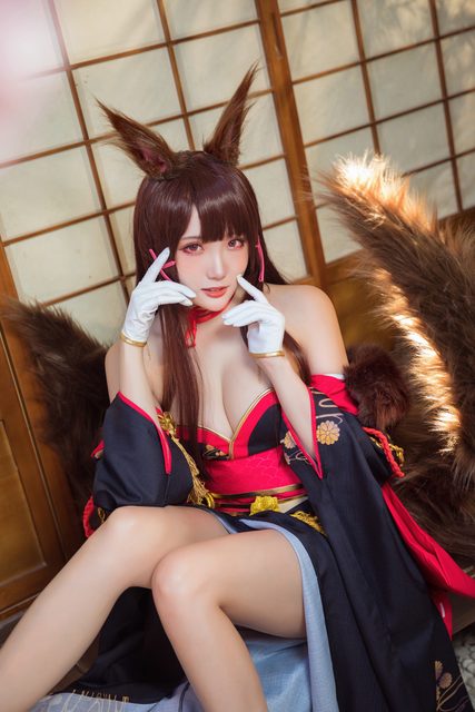 Akagi - Azur Lane – photo 16