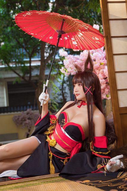 Akagi - Azur Lane – photo 21