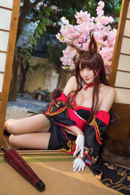 Akagi - Azur Lane – photo 24