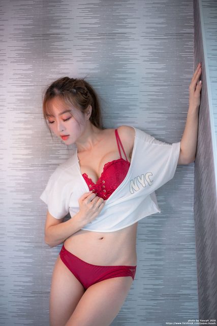 Shin Yu Red Plum and Blue Gray Bra – ảnh 3