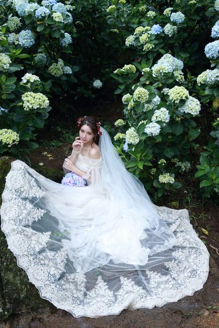 Beautiful Bride and Hydrangea Flowers – photo 37