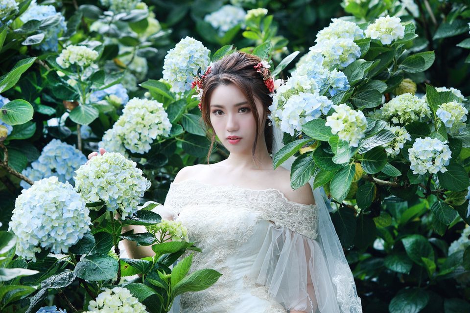 Beautiful Bride and Hydrangea Flowers – photo 46
